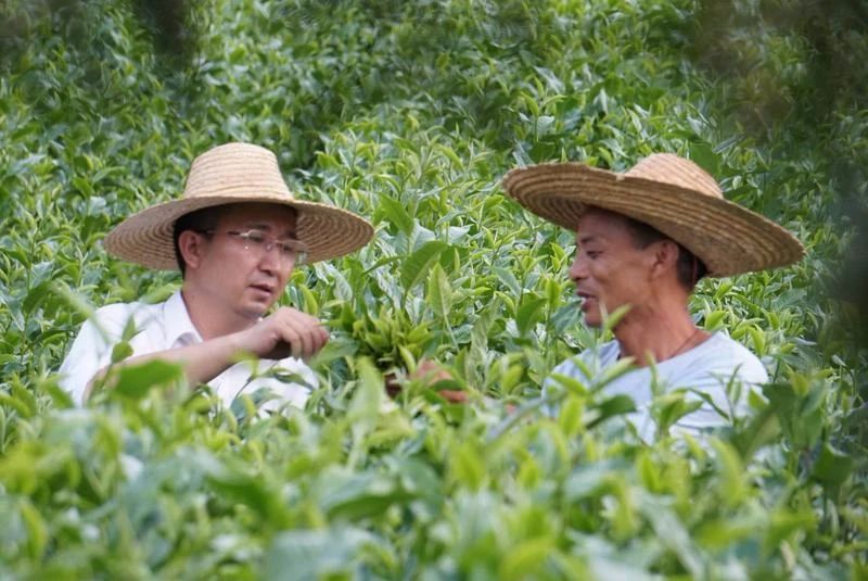 第一书记 | 张伟：要留下一支永不撤走的“扶贫队”