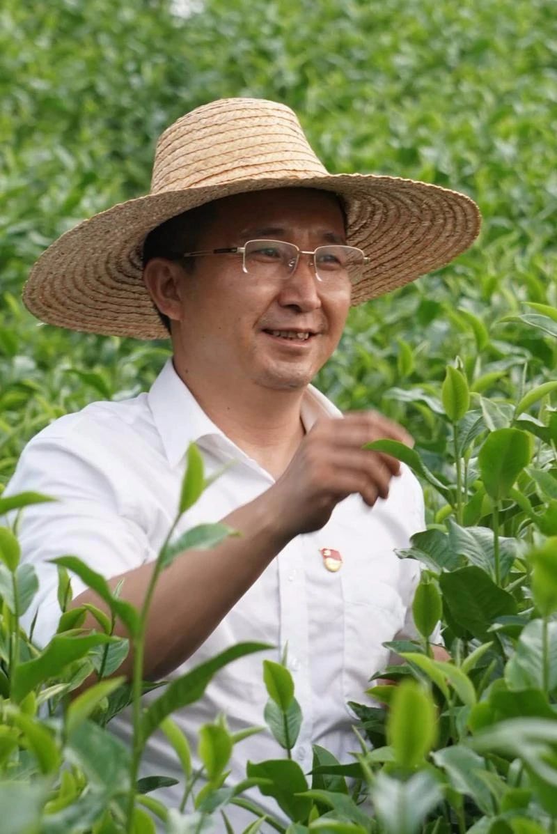 第一书记 | 张伟：要留下一支永不撤走的“扶贫队”