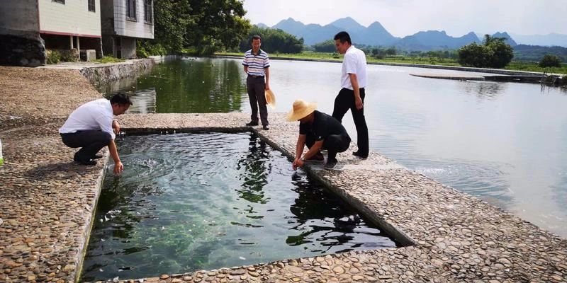 第一书记 | 张伟：要留下一支永不撤走的“扶贫队”